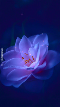 花蕊
