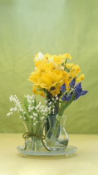How to extend the freshkeeping period of flowers 6