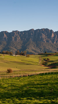 Manian alpine meadow