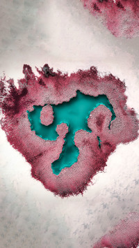 The heart of the salt lake