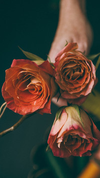 112604_1440x2560.jpg