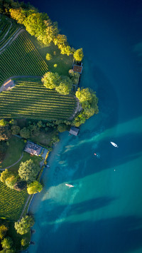 The lake surface and the lush shore
