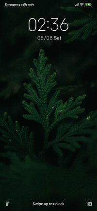 Pine Leaves_3MDS