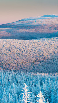 Winter beauty