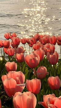 Life is ten thousand times of spring and clear scenery