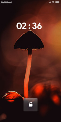 MUSH_DWM2