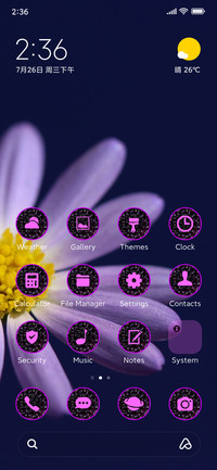 daisy violet