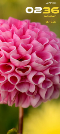 Pink Flower
