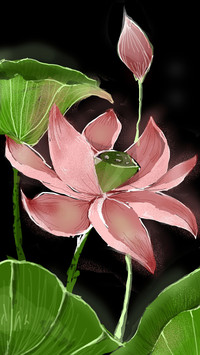 清香阵阵