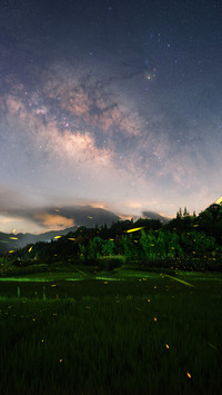 Fireflies and the milky way