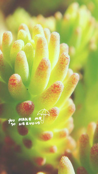 Plant word