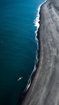Bird's eye View (9)