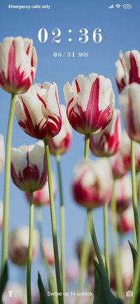 Tulips Flowers_3MDS