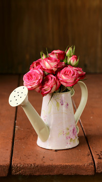 Watering pot rose 06