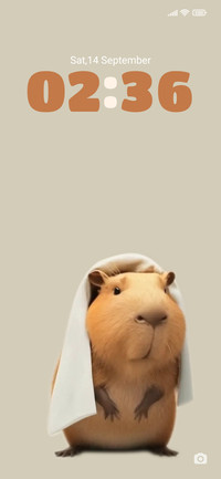 Lovely capybara