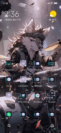 Cyber Fox Band