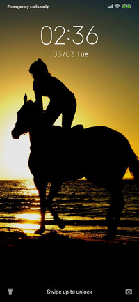 Horse Rider_3MDS