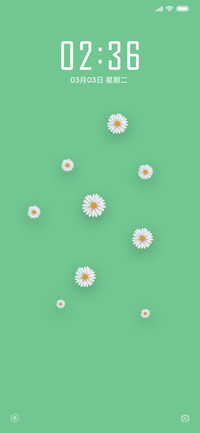 清新雏菊