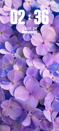 Petal