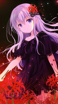 夜色正浓
