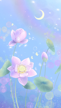 Moonlight and starry rainbow in lotus pond