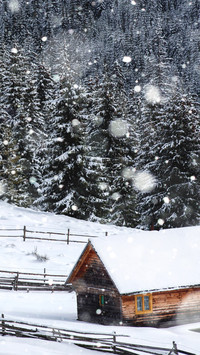 Winter Snowfield