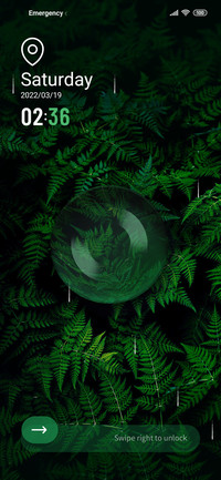 Forest