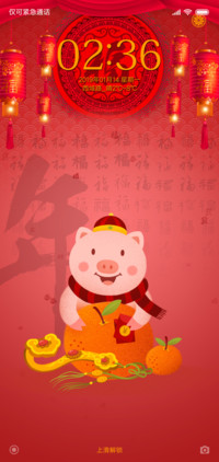 猪年大吉