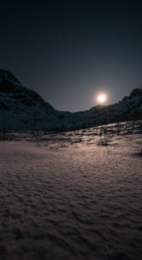 Beauty of Earth 1 (40)