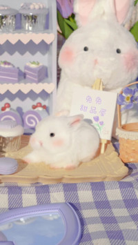 Rabbit Diary