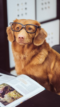 Puppy Love (7)