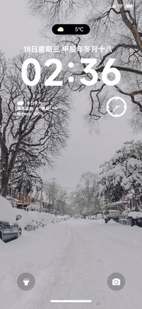 简约黑白 灵动初雪