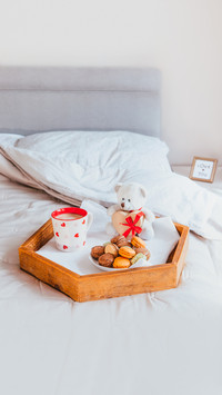 Teddy bear with heart box on white backdrop