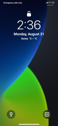 BIG SUR  MOD