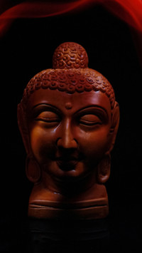 partha