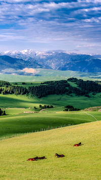 Xinjiang next stop