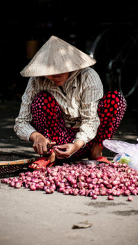 Vietnam  (1)