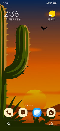 Cactus Sun