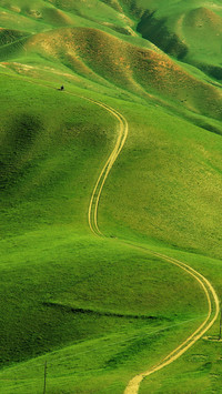 The soil of grassland and forest is different
