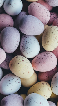 Easter (26)