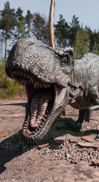 Dinosaur (17)