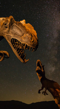 Dinosaur (4)