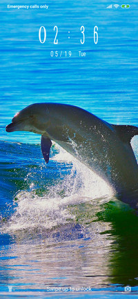 Waves and dolphin_3MDS