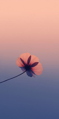 Silhouette5.jpg