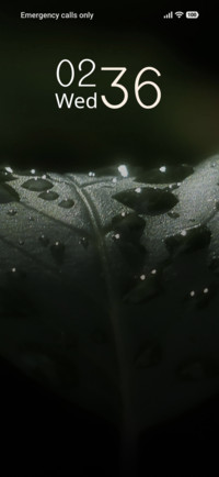 Morning Dew