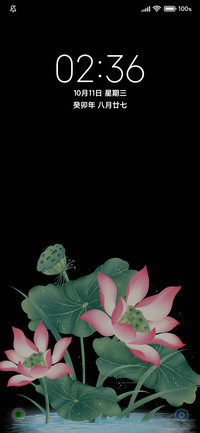 夜荷