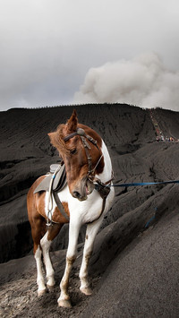 火山风光-拍信图库