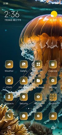 Jellyfish