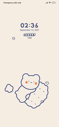 Bear cookies
