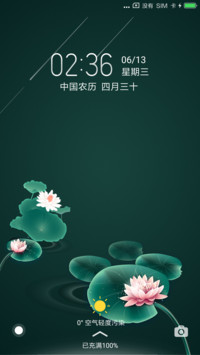 忆莲夏夜